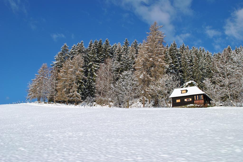 Vila Schlintl-Hof Liebenfels Pokoj fotografie