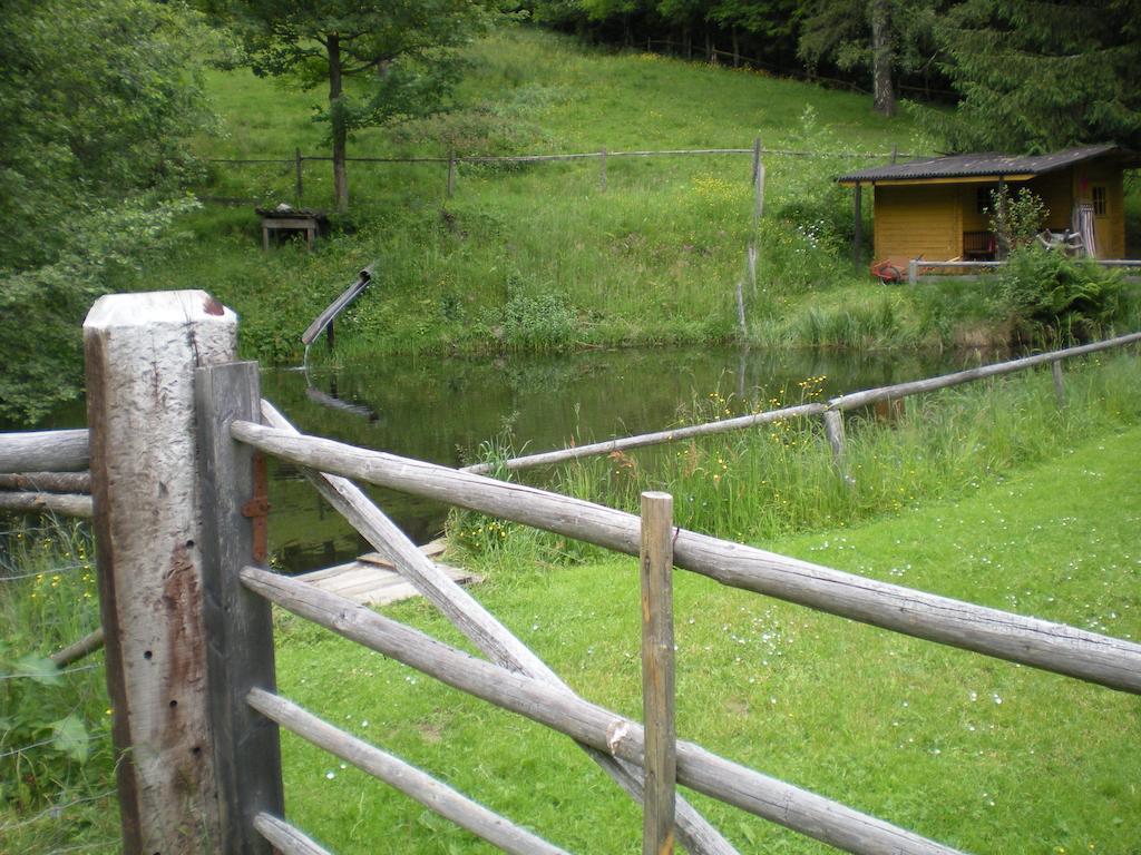 Vila Schlintl-Hof Liebenfels Exteriér fotografie