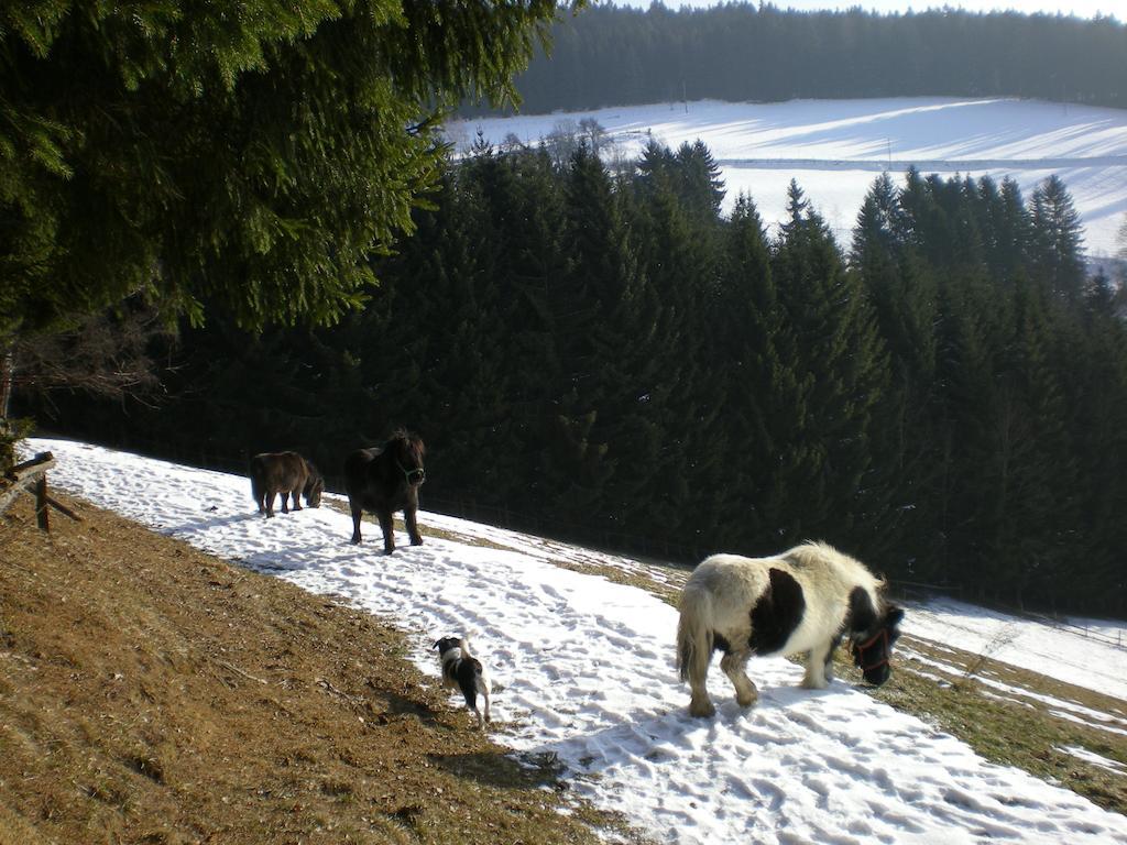 Vila Schlintl-Hof Liebenfels Exteriér fotografie