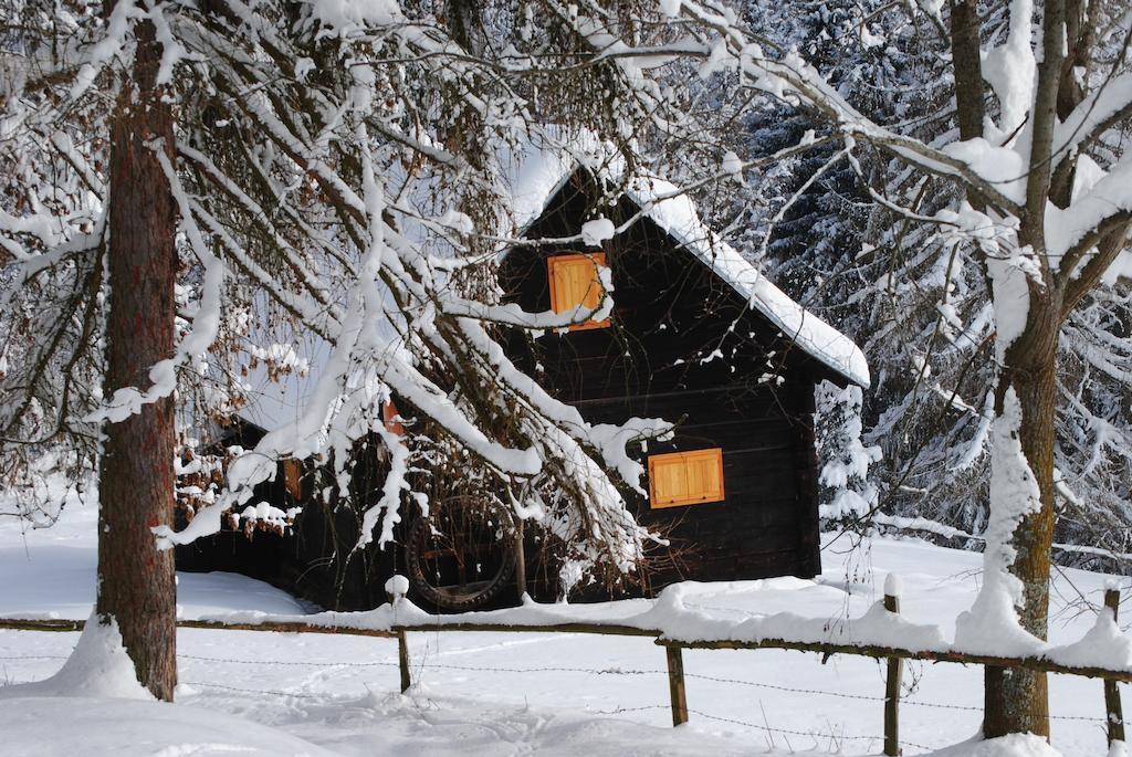 Vila Schlintl-Hof Liebenfels Exteriér fotografie